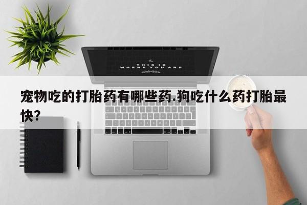 药流药怎么购买宠物吃的打胎药有哪些药.狗吃什么药打胎最快？
