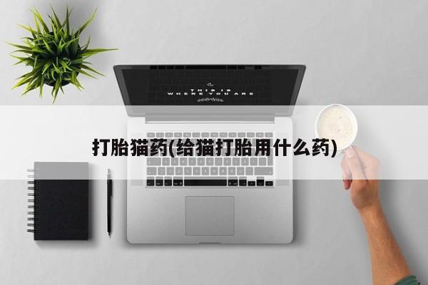 药流药怎么购买打胎猫药(给猫打胎用什么药)