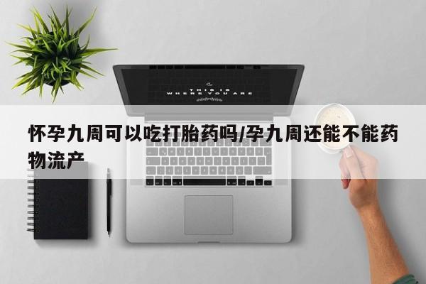 药流药怎么购买怀孕九周可以吃打胎药吗/孕九周还能不能药物流产
