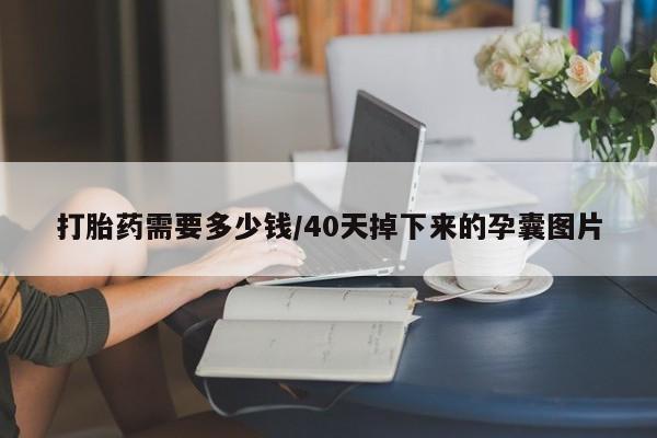 admin 第762页